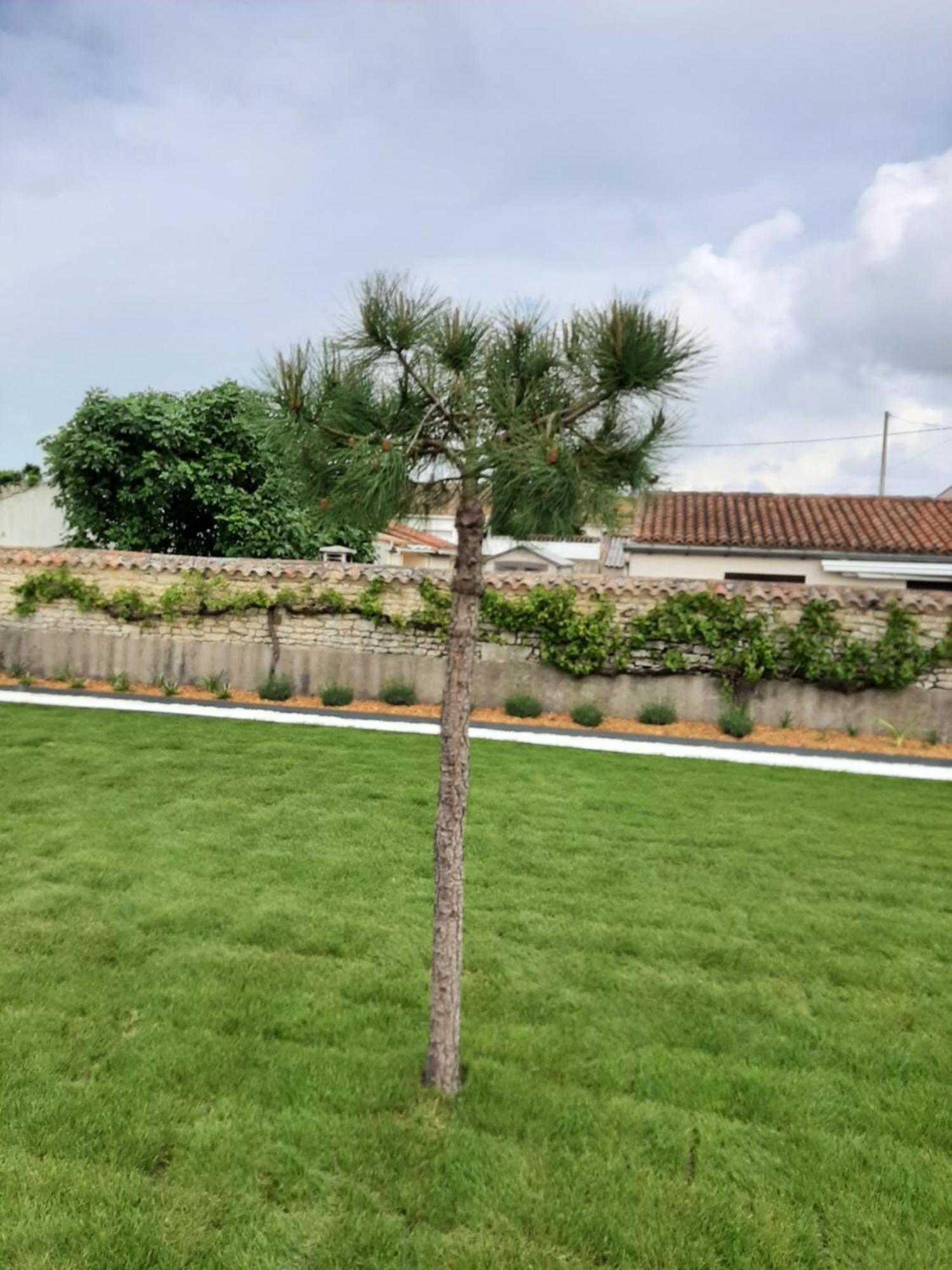 Le Lysblanc Bed & Breakfast L'Aiguillon-sur-Mer Exterior photo